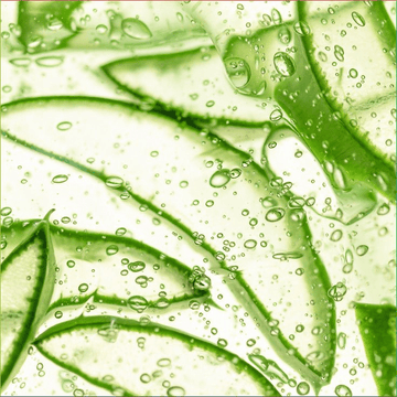 Aloe Vera & Soothing Botanicals - Alba Sole